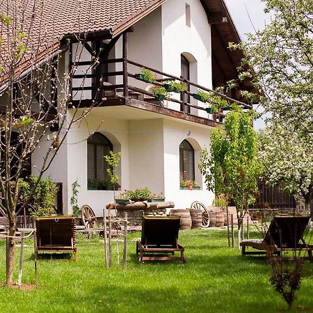 Casa Mosului - Transfagarasan Bed & Breakfast Cîrţişoara Buitenkant foto