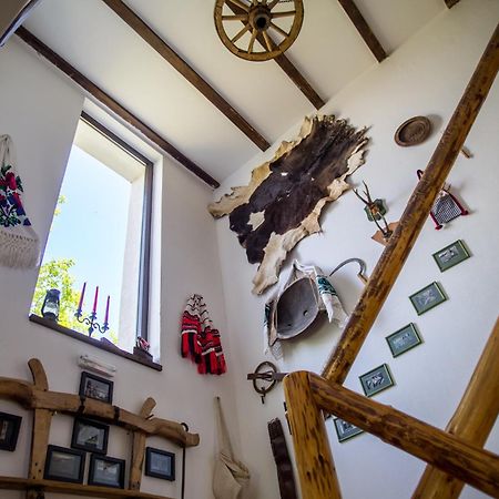 Casa Mosului - Transfagarasan Bed & Breakfast Cîrţişoara Buitenkant foto