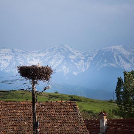Casa Mosului - Transfagarasan Bed & Breakfast Cîrţişoara Buitenkant foto