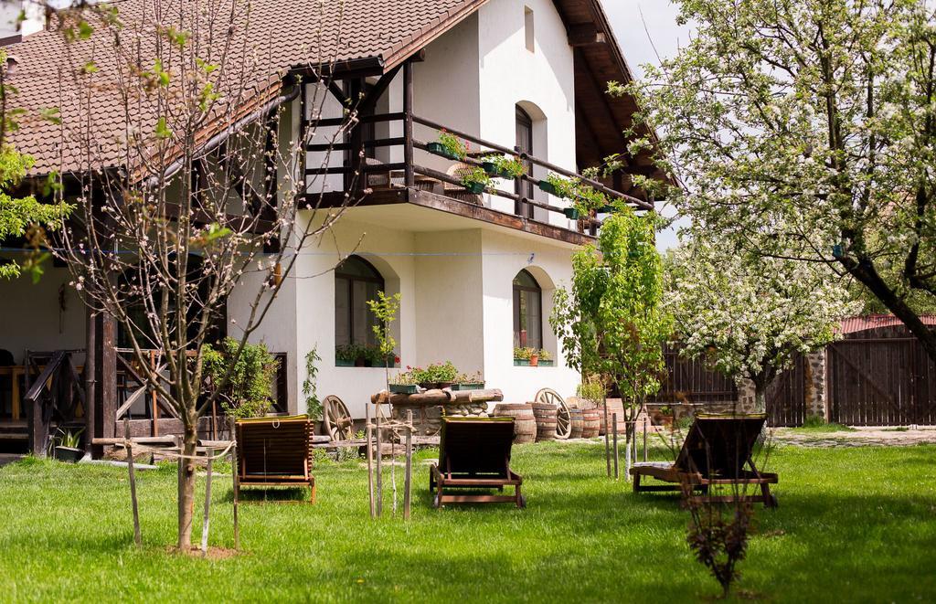 Casa Mosului - Transfagarasan Bed & Breakfast Cîrţişoara Buitenkant foto