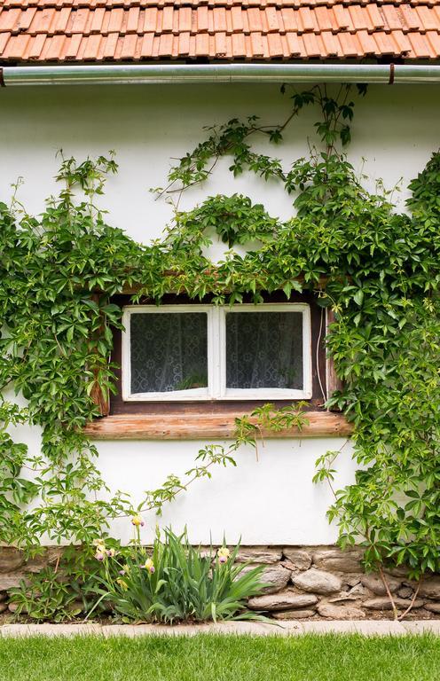 Casa Mosului - Transfagarasan Bed & Breakfast Cîrţişoara Buitenkant foto