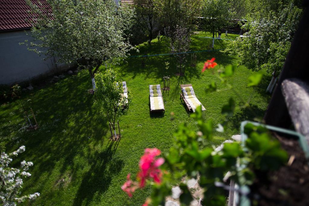 Casa Mosului - Transfagarasan Bed & Breakfast Cîrţişoara Buitenkant foto