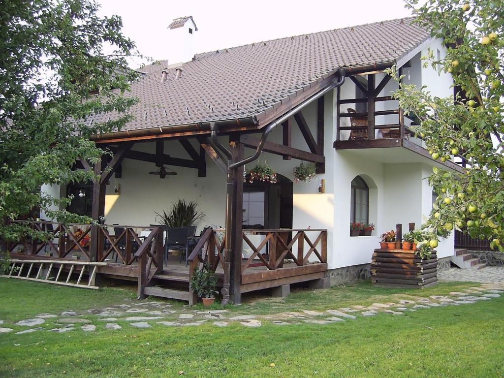 Casa Mosului - Transfagarasan Bed & Breakfast Cîrţişoara Buitenkant foto