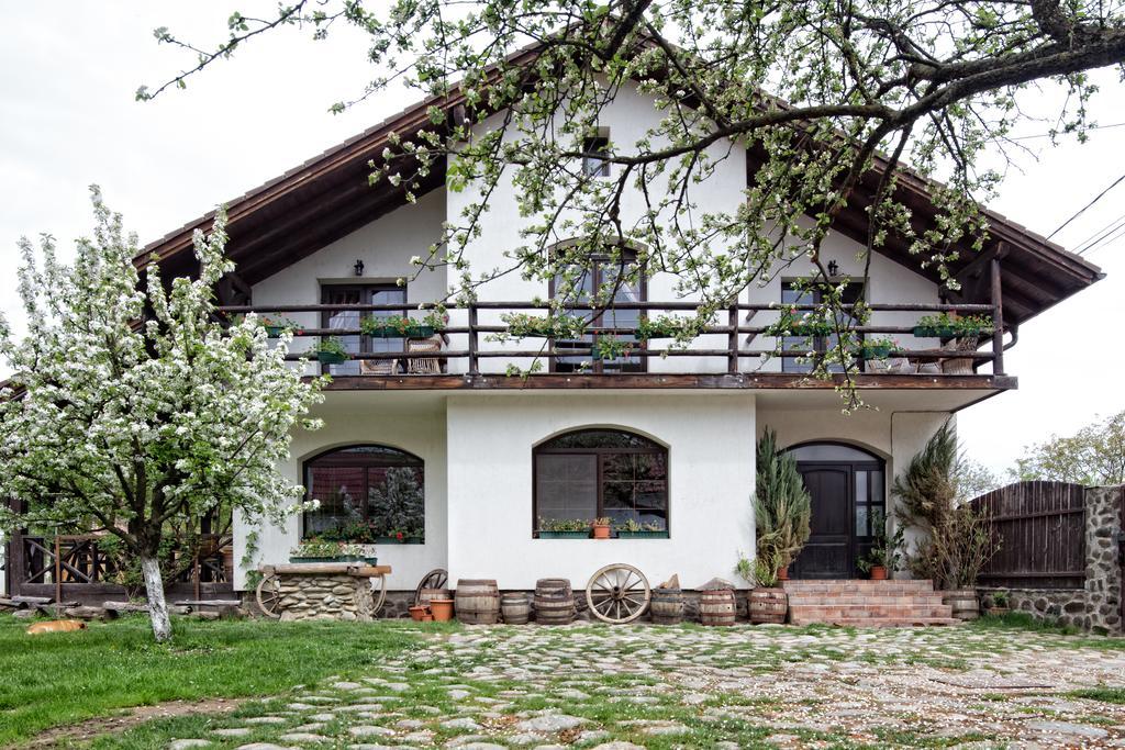 Casa Mosului - Transfagarasan Bed & Breakfast Cîrţişoara Buitenkant foto