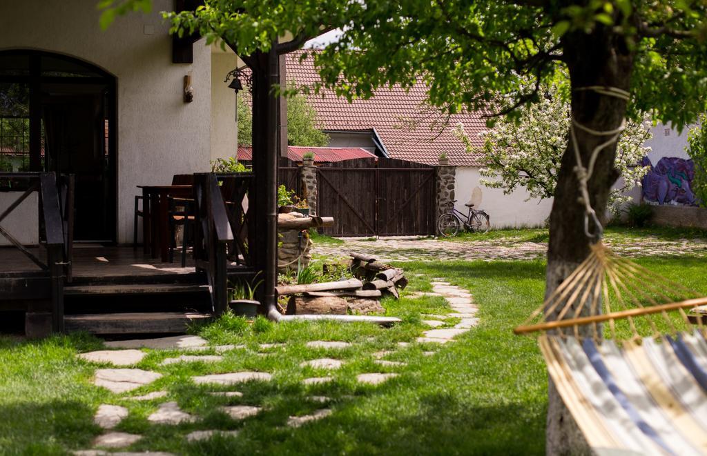 Casa Mosului - Transfagarasan Bed & Breakfast Cîrţişoara Buitenkant foto
