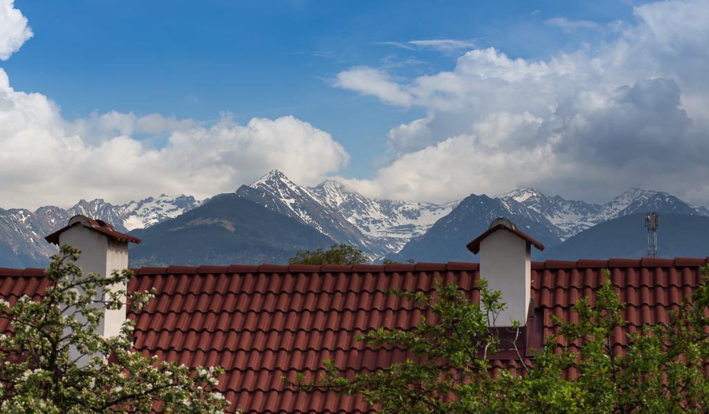 Casa Mosului - Transfagarasan Bed & Breakfast Cîrţişoara Buitenkant foto