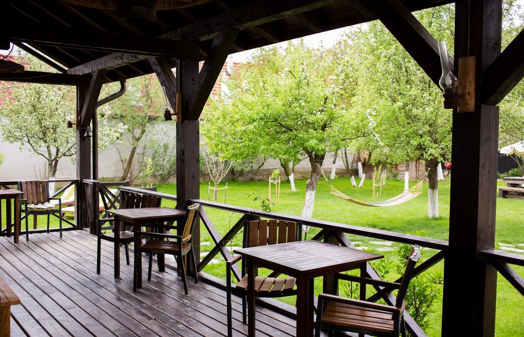 Casa Mosului - Transfagarasan Bed & Breakfast Cîrţişoara Buitenkant foto
